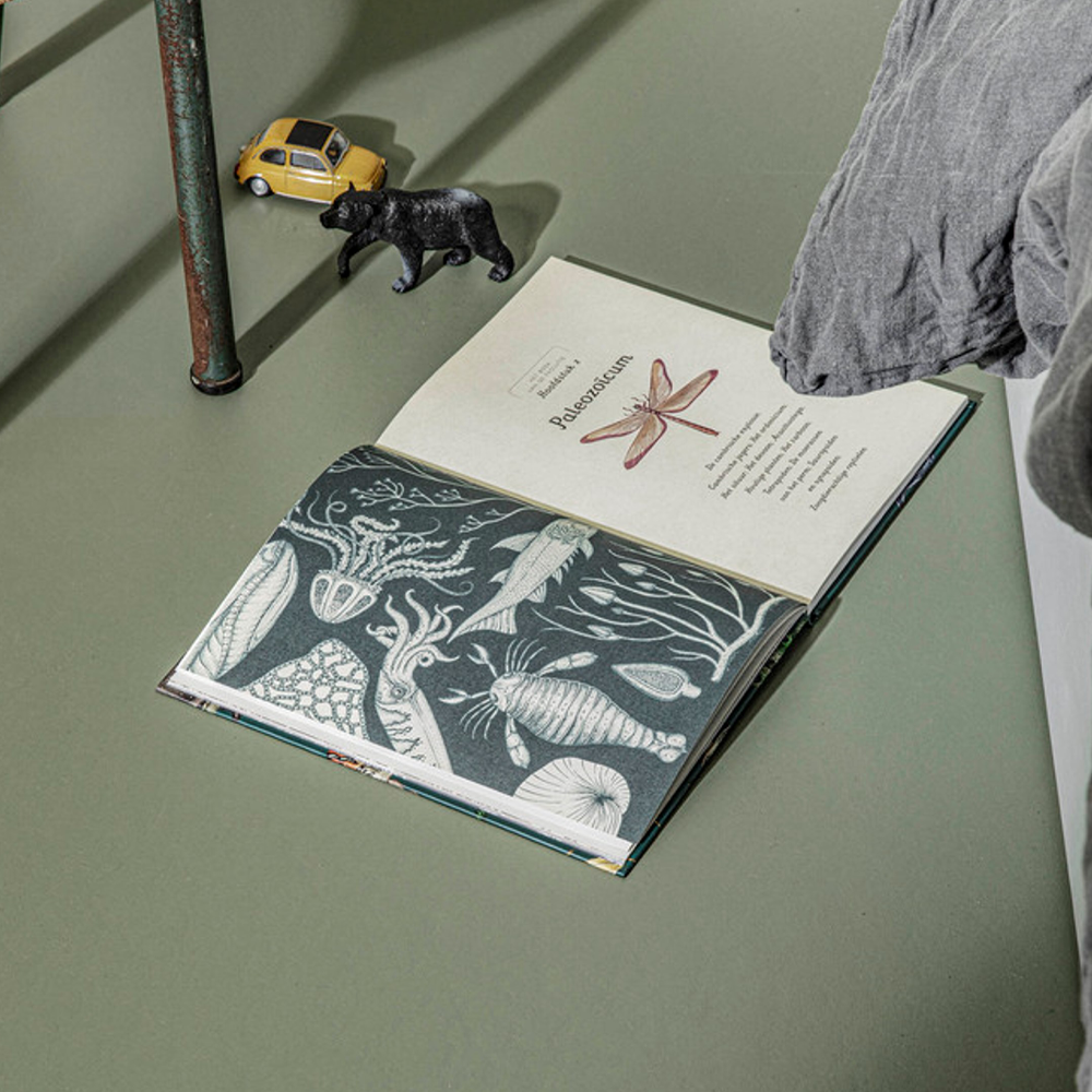 Laat ons met je meekijken 2