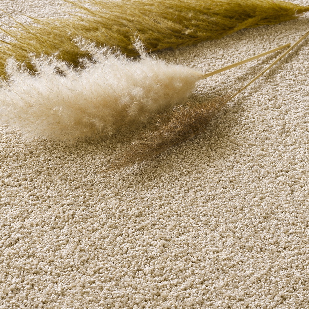 Breng Secret Safari tot leven in je huis 2